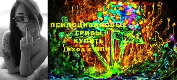 спиды Гусь-Хрустальный